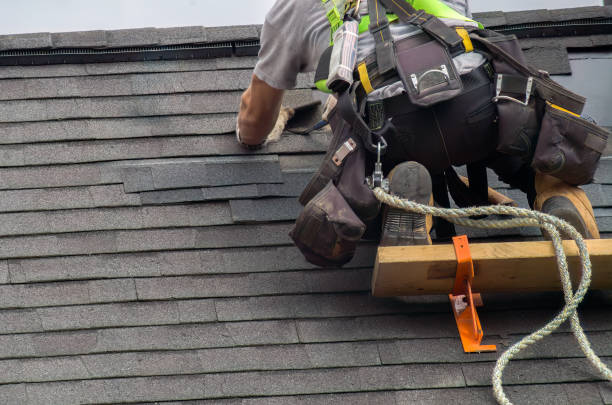 Storm Damage Siding Repair in Pocono Springs, PA